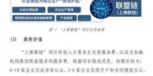 2025年小企链革新全球商业协作，剖析数字货币应用及监管难题