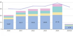 2025 年神州数码数字化转型成果剖析：业务布局与财务状况等多方面解读