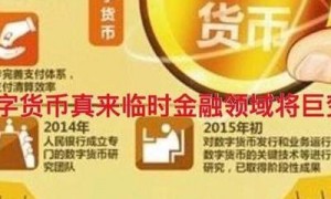 2025年国池概念引领数字货币新纪元，各国金融变革进行时