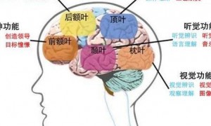 2025年记忆增强技术渗透多领域，拆解其突破限制与伦理问题