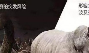 2025年全球互联网生态：警惕数据垄断灰犀牛威胁甚于黑天鹅