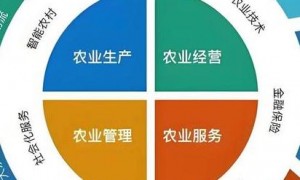 智慧农业重塑全球粮食生产版图，剖析六大代表性案例及技术应用