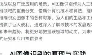 2025年AI图像识别质变：技术突破、落地案例与隐私挑战剖析