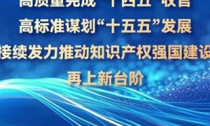 2025年知识产权变现新机遇：数字藏品与NFT的变革发展