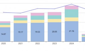 2025 年神州数码数字化转型成果剖析：业务布局与财务状况等多方面解读