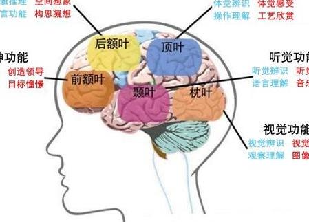 2025年记忆增强技术渗透多领域，拆解其突破限制与伦理问题