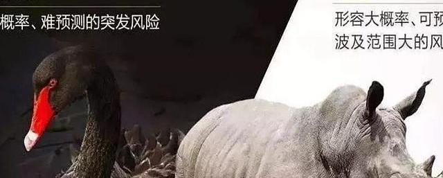 2025年全球互联网生态：警惕数据垄断灰犀牛威胁甚于黑天鹅