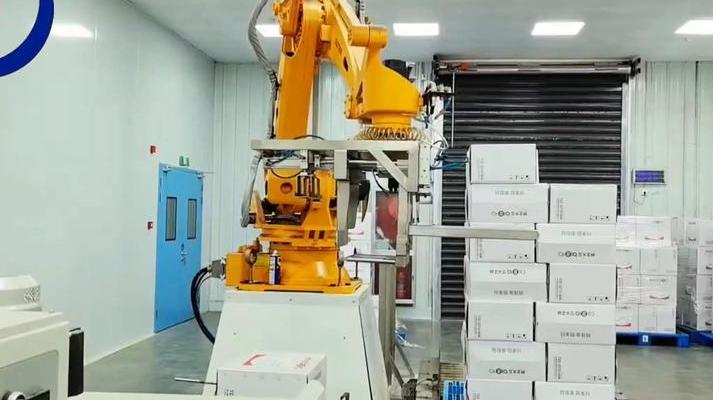 工业自动化领域：深入剖析码垛机器人关键技术及应用场景