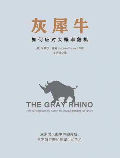 灰犀牛现象的视觉演变及其对商业世界的重要启示